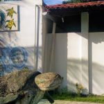 ecoassociados-porto-galinhas