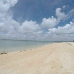 ilha-de-santo-aleixo